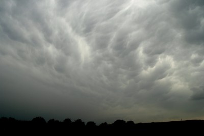 Eifelmammatus0507 034K.jpg